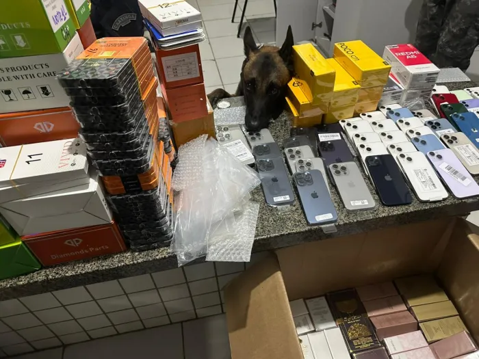 Apreensões foram feitas pelos 10º e 3º Batalhões - Ascom PM- AL