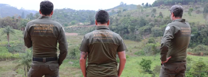 Desmatamento da Mata Atlântica cai no Brasil e Minas mantém redução nos últimos anos