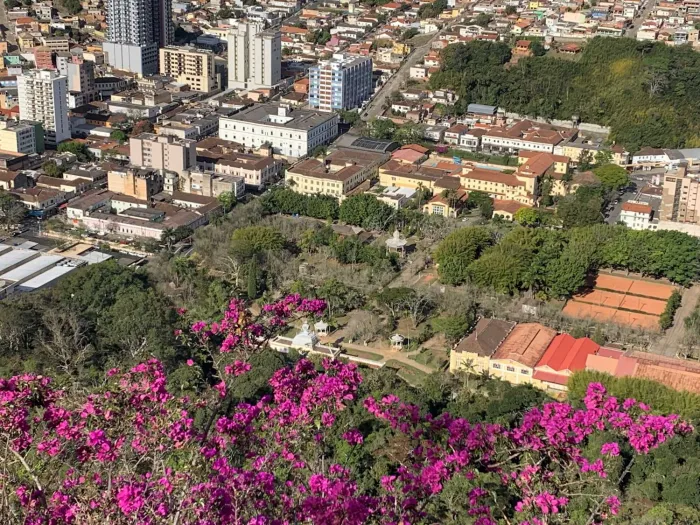 Codemge / Divulgação