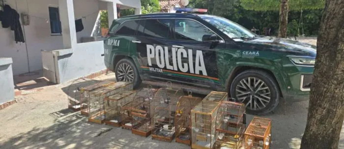 Foto: Reprodução/Secom Ceará