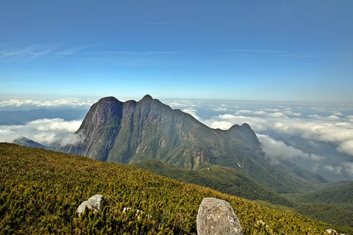 Foto: Denis Ferreira Netto/SEDEST