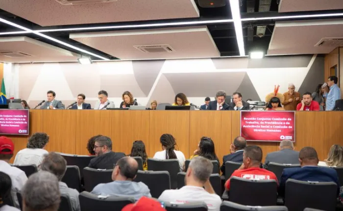 Alessandra Torres / Câmara dos Deputados
