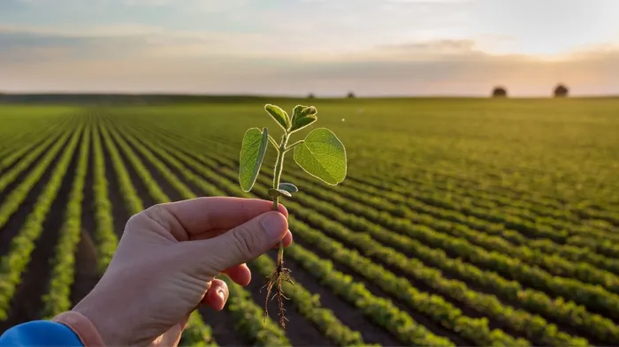 Prêmio Consciencia Ambiental Immensita