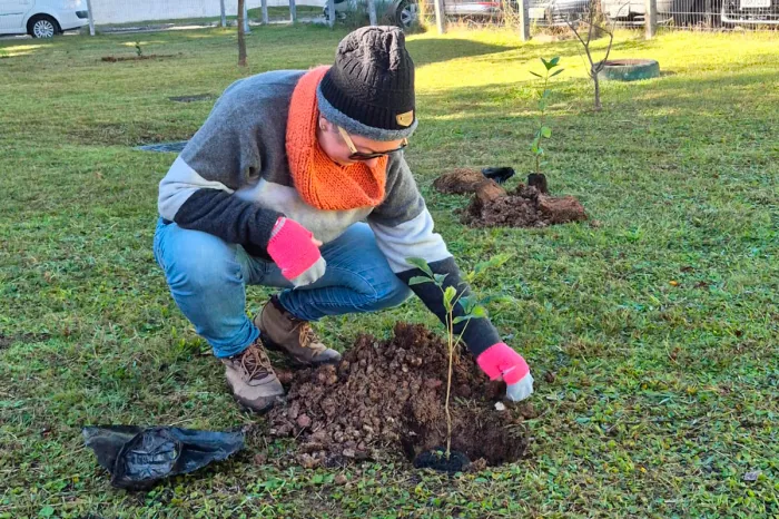 Hospital Infantil de Campo Largo ganha floresta terapêutica para auxiliar recuperação de crianças
