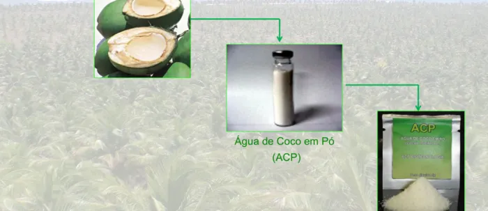 Fotos: Ascom Uece