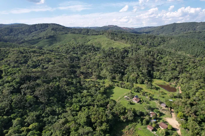 Paraná vai ganhar uma Londrina de área protegida com novas UCs em estudo pelo IAT