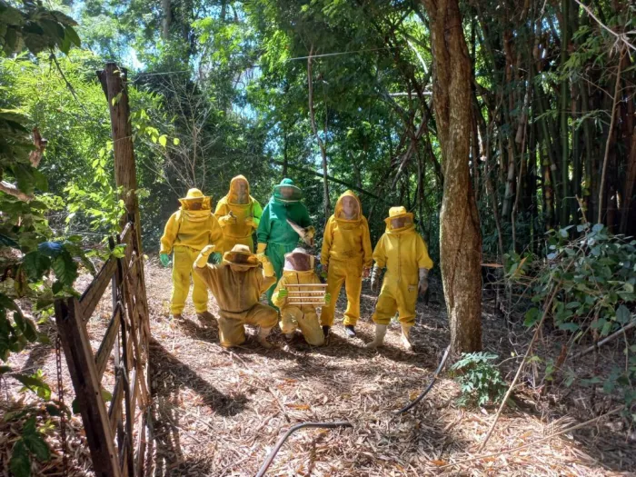 A CPL não impactou somente a produção de mel, mas também impulsionou o equilíbrio ecológico de toda a região, beneficiando todos os produtores rurais de Marília e impulsionando a economia local como um todo.