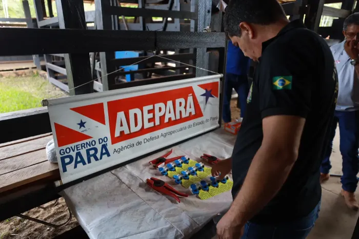 Foto: Alex Ribeiro / Ag. Pará