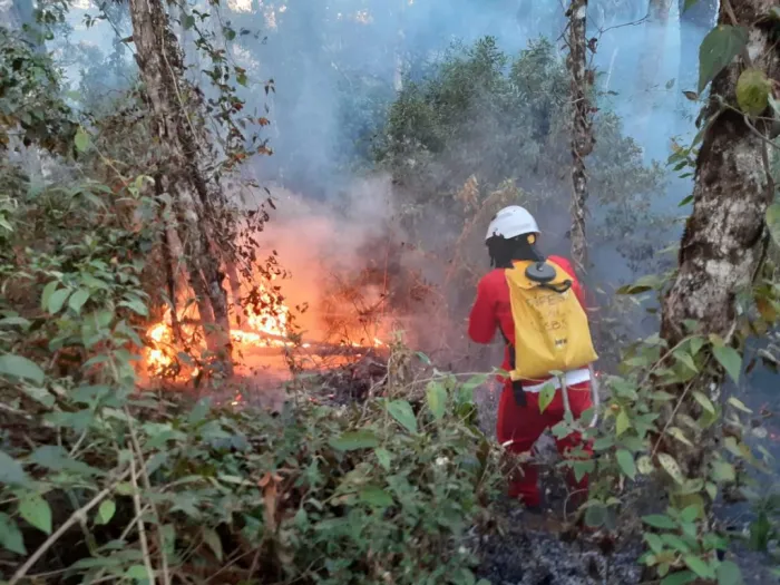 Incêndios florestais: 5 cidades da região de Franca recebem equipamentos da Defesa Civil para temporada de estiagem