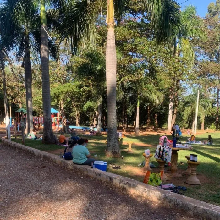 Araçatuba terá doação de mudas e conscientização na semana do Meio Ambiente