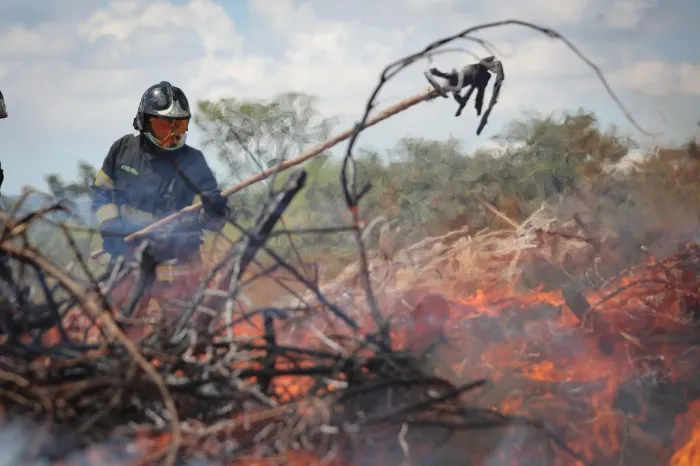 Polícia Militar Ambiental intensifica fiscalização contra queimadas em todo o estado de SP