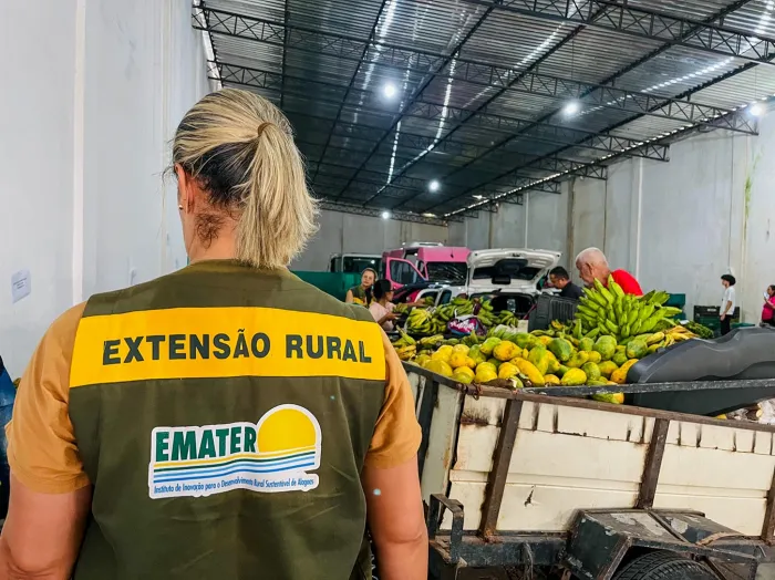 Profissionais deverão atuar auxiliando e participando do desenvolvimento de programas e projetos relacionados à assistência técnica e extensão rural - Ascom Emater