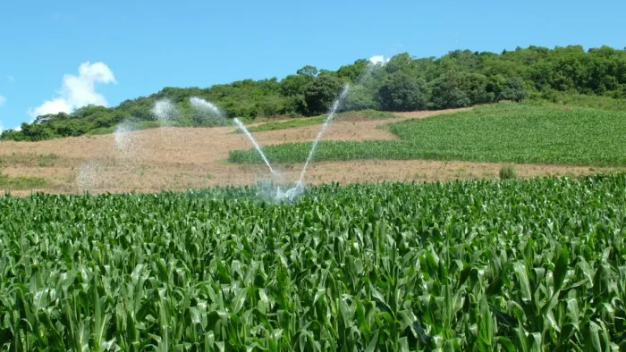 Irrigação é considerada uma das principais estratégias para garantir mais estabilidade na produção agropecuária -Foto: Divulgação/Emater RS-Ascar