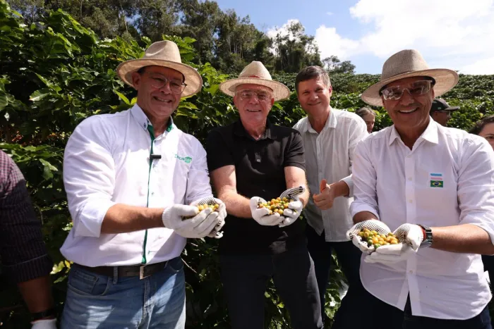 Governador realiza abertura oficial da colheita do café arábica no Espírito Santo
