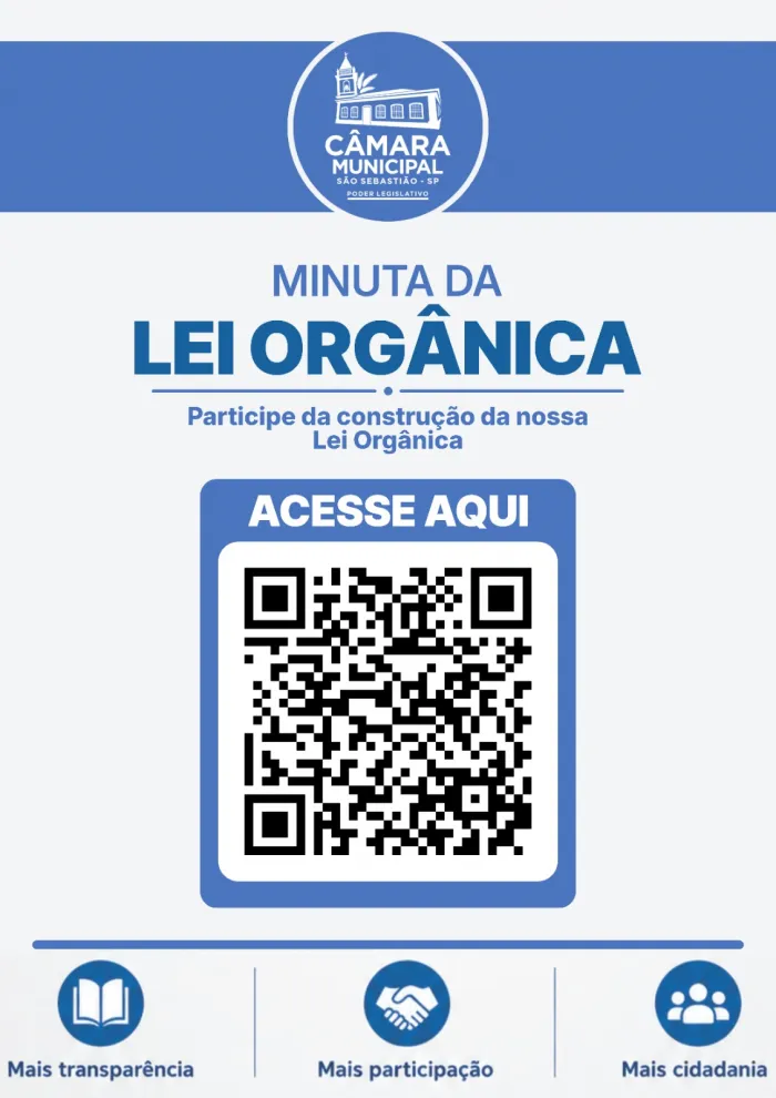 Foto: Reprodução/Câmara de São Sebastião - SP