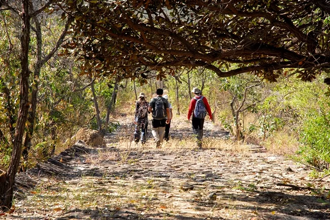 Parque Estadual do Rio Doce lança guia de trilhas para fortalecer turismo de natureza