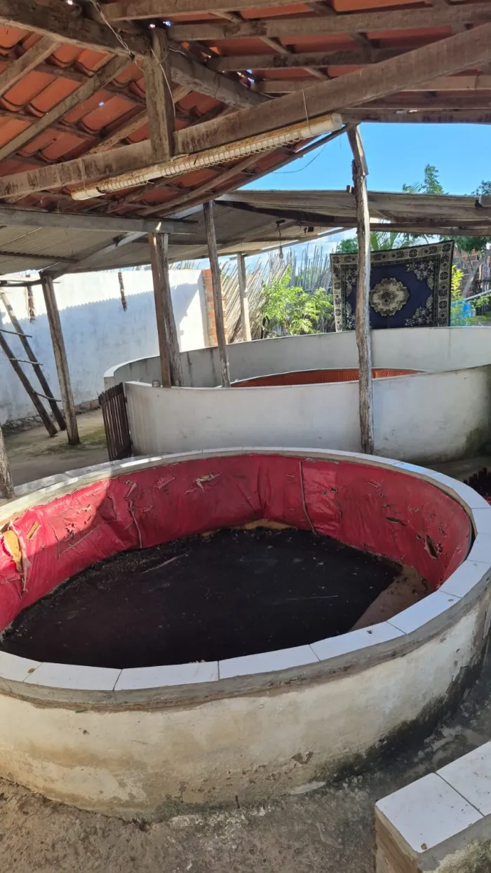 Ação integrada resgata aves em situação de maus-tratos em Conceição do Coité