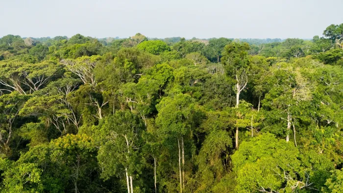 Foto: Reprodução/Secom Acre