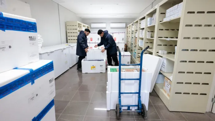Rio Grande do Sul recebe 536 mil doses de vacina contra gripe para reforçar campanha de imunização dos grupos prioritários
