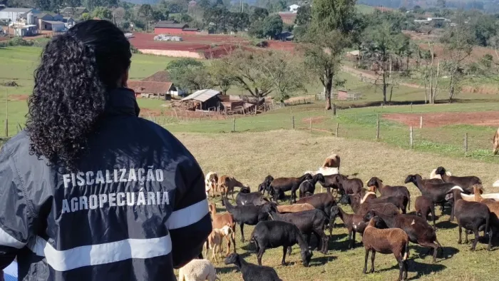 Agentes atuam em propriedades de todo o Estado, em municípios como Lajeado -Foto: Ascom Seapi
