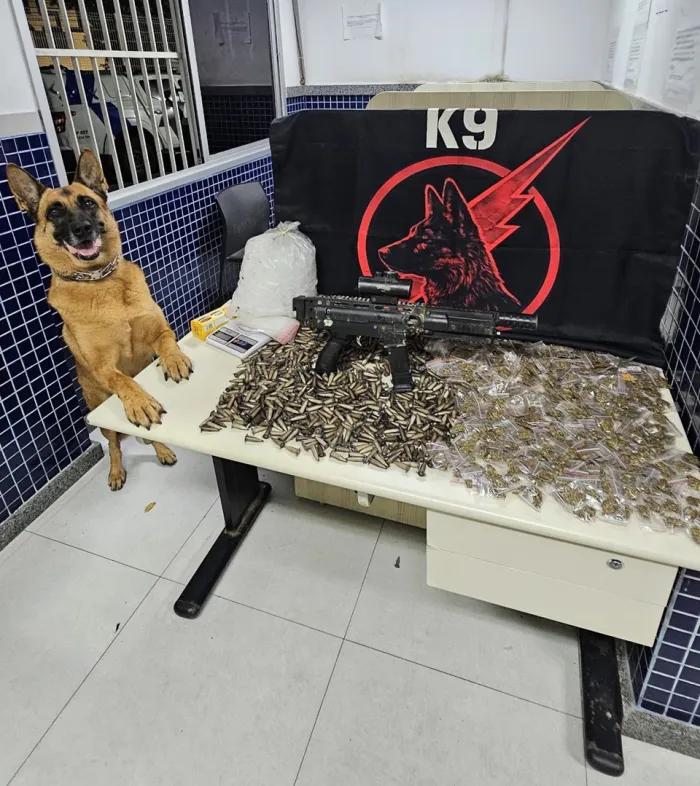 Foto: Reprodução/Polícia Militar - ES