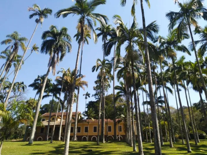 A revitalização contempla aproximadamente dois quilômetros da estrada principal utilizada por visitantes, equipes de manejo, fiscalização e monitoramento ambiental da Unidade de Conservação