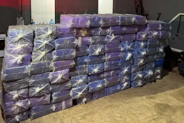 PCPR apreende mais de 2 toneladas de maconha e prende cinco pessoas no Noroeste
