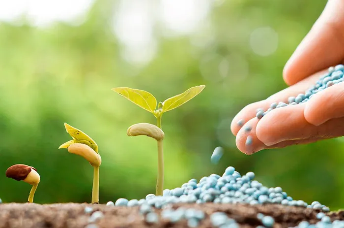 Volta ao Senado projeto de incentivo à indústria de fertilizantes