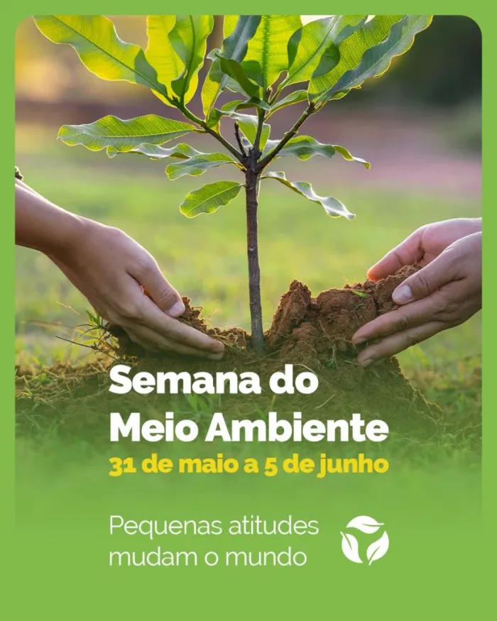 Foto: Reprodução/Prefeitura de Araçatuba - SP