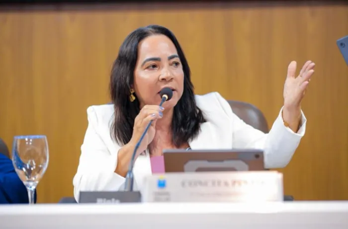 Concita Pinto propõe Política de Incentivo ao Jovem Empreendedor