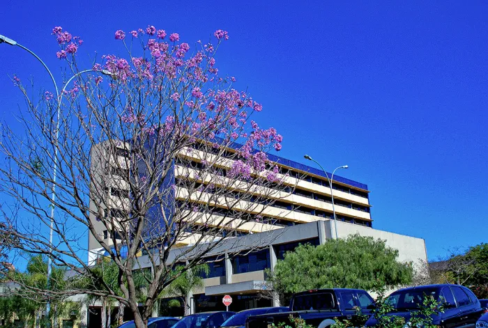 Governo de SP tem sete hospitais estaduais entre os dez melhores do país, mostra ranking nacional do SUS