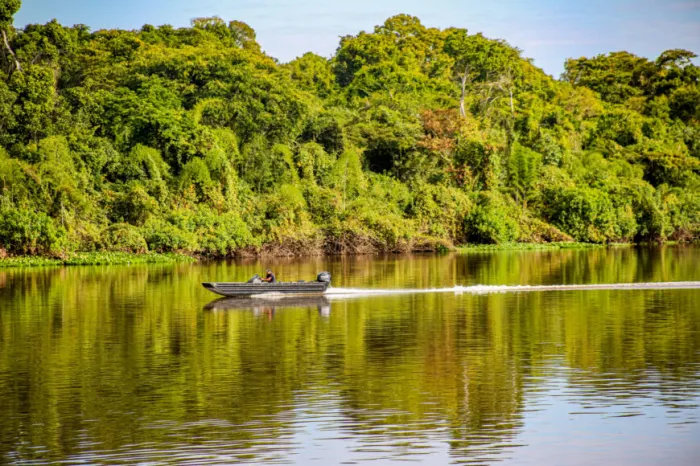 Rondônia regista queda histórica no desmatamento e é destino atrativo para o turismo em meio a natureza 