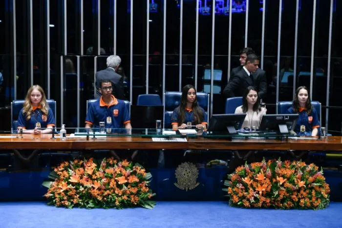 A iniciativa é voltada para estudantes de até 19 anos matriculados em escolas públicas estaduais e do Distrito Federal e busca incentivar reflexões sobre política, democracia e cidadania
