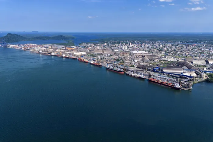 Entre navios e manguezais, a biodiversidade de peixes se destaca na Baía de Paranaguá