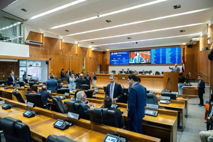 PL institui o Dia Estadual da Mesária, Mesário e Agentes que Prestam Serviços à Justiça Eleitoral