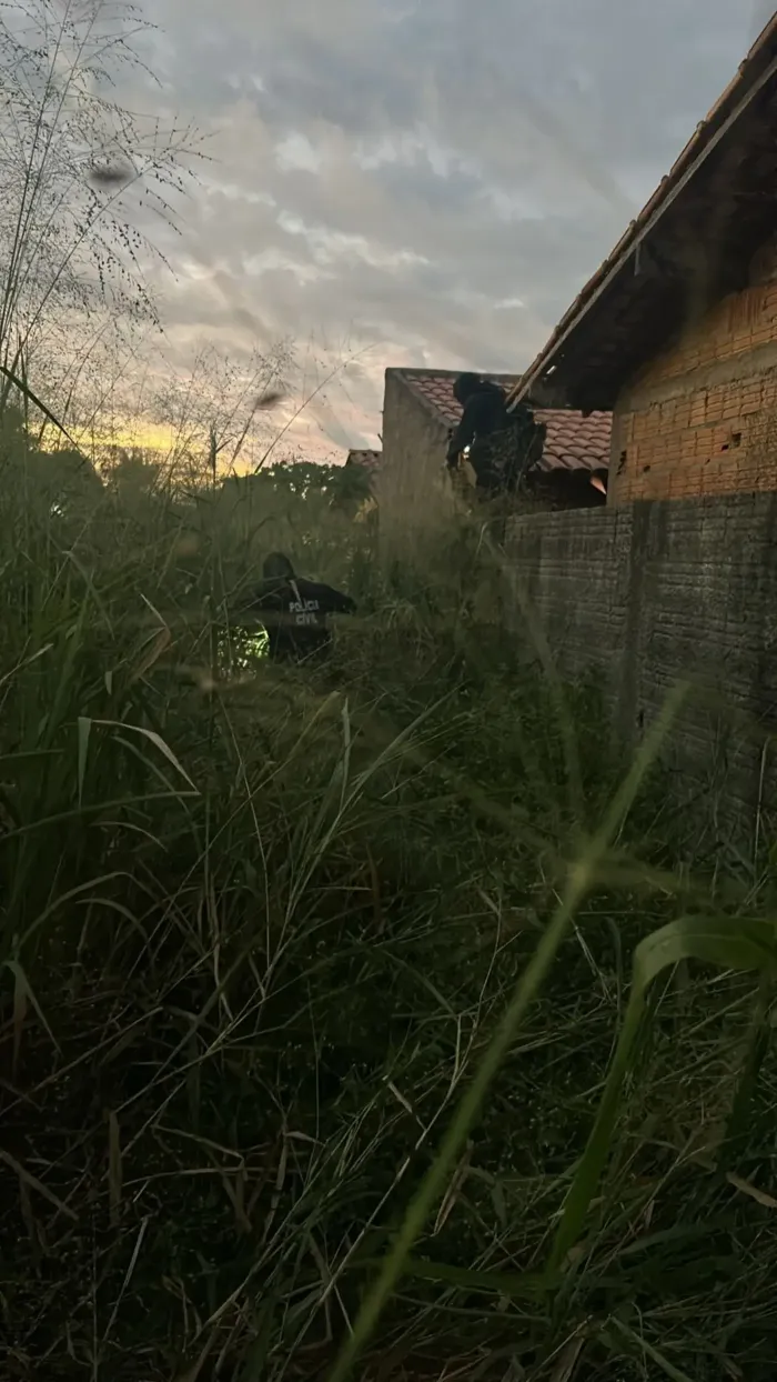Foto: Divulgação