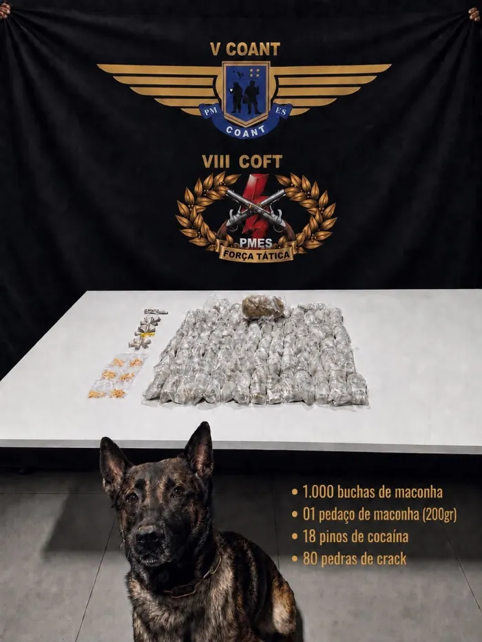 Foto: Reprodução/Polícia Militar - ES