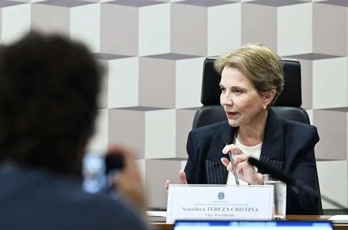 Debate alerta para papel estratégico do Brasil na disputa por minerais críticos