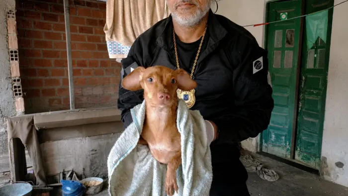 Ação conjunta resgata animais em situação de maus-tratos em Feira de Santana