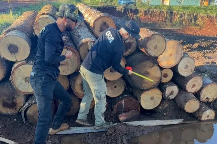 Operação Bioma Seguro termina com R$ 3,8 milhões em multas por diversos crimes ambientais