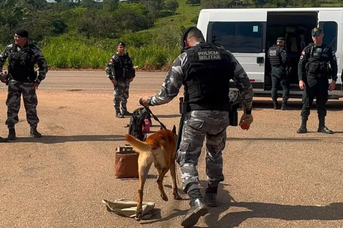 Foto: Divulgação
