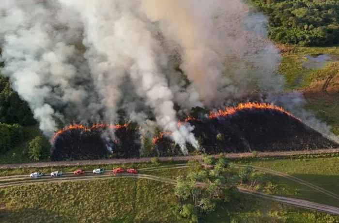 Foto: Reprodução/Secom Mato Grosso do Sul