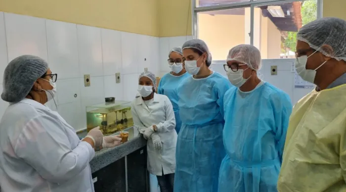 Lacen fortalece rede de saúde com capacitações para profissionais de todo o estado