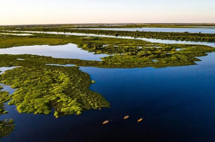 Dia Mundial do Meio Ambiente: projetos no Senado reforçam agenda climática