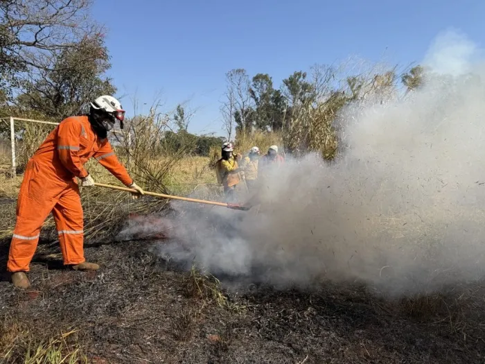 Operação São Paulo Sem Fogo amplia ações de prevenção e combate a incêndios em SP com monitoramento via satélite