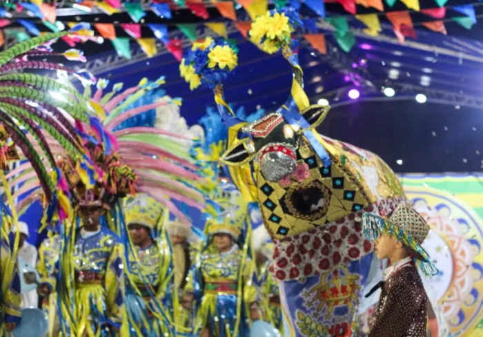 Foto: Reprodução/Secom Piauí