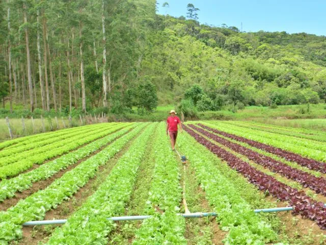 Foto: Reprodução/Secom SC