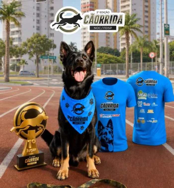 Foto: Reprodução/Secom Piauí