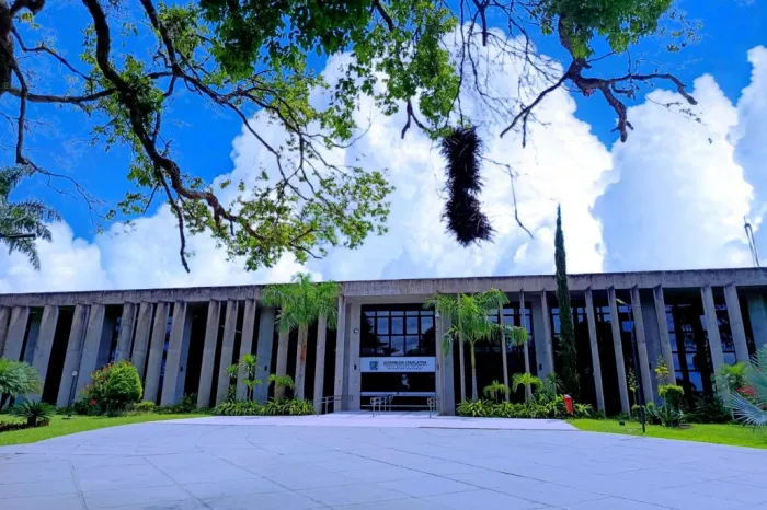 Agenda: Missa do Divino, capacitações e audiência pública marcam a semana