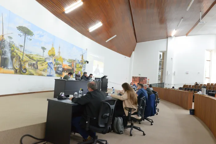 Foto: Reprodução/Câmara Municipal de Castro - PR